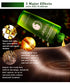 Hair Growth Essential Oil - ROUTINE FASHION